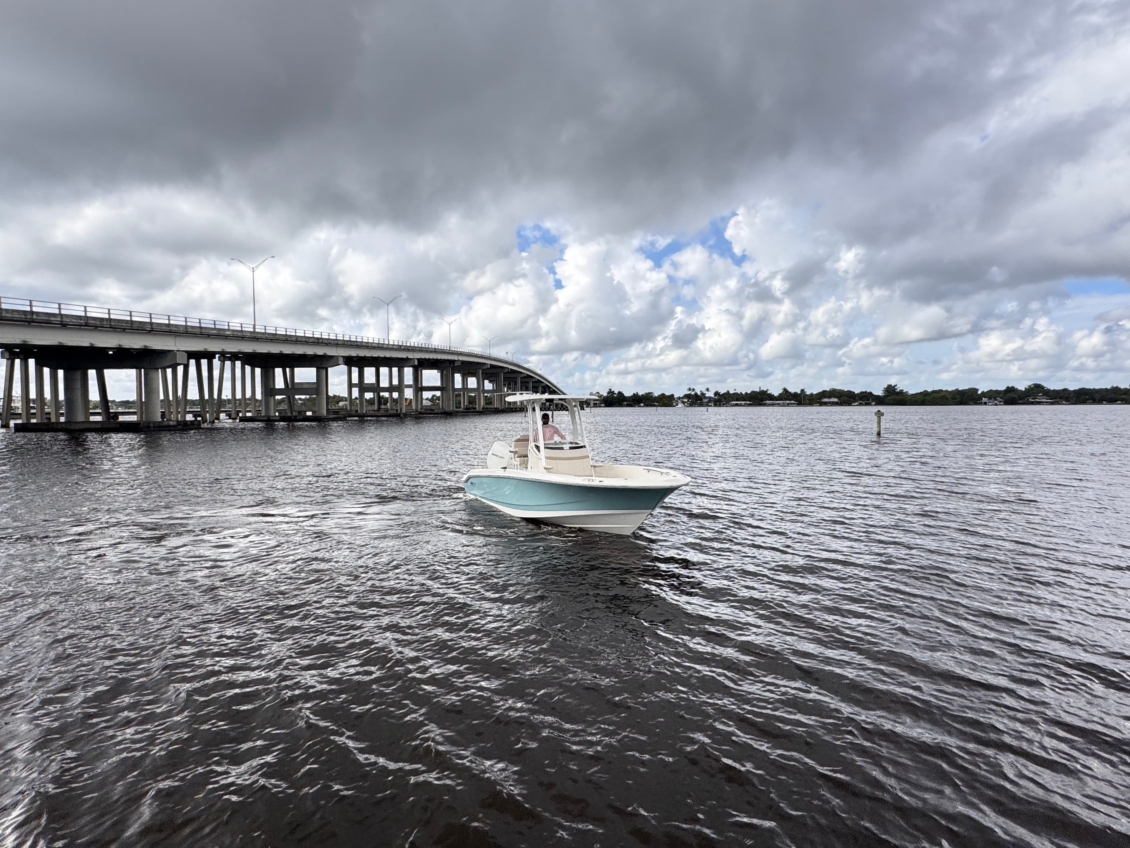 2026 Boston Whaler 250 Dauntless for Sale in Stuart, Florida Center Console 4