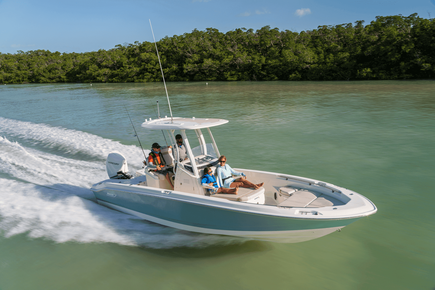 2027 Boston Whaler 250 Dauntless for Sale in Seabrook, TX Center Console
