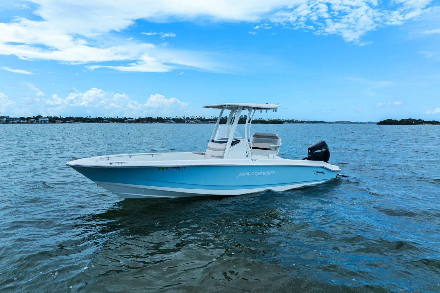 2024 Boston Whaler 250 Dauntless for Sale in St Petersburg, FL Center Console
