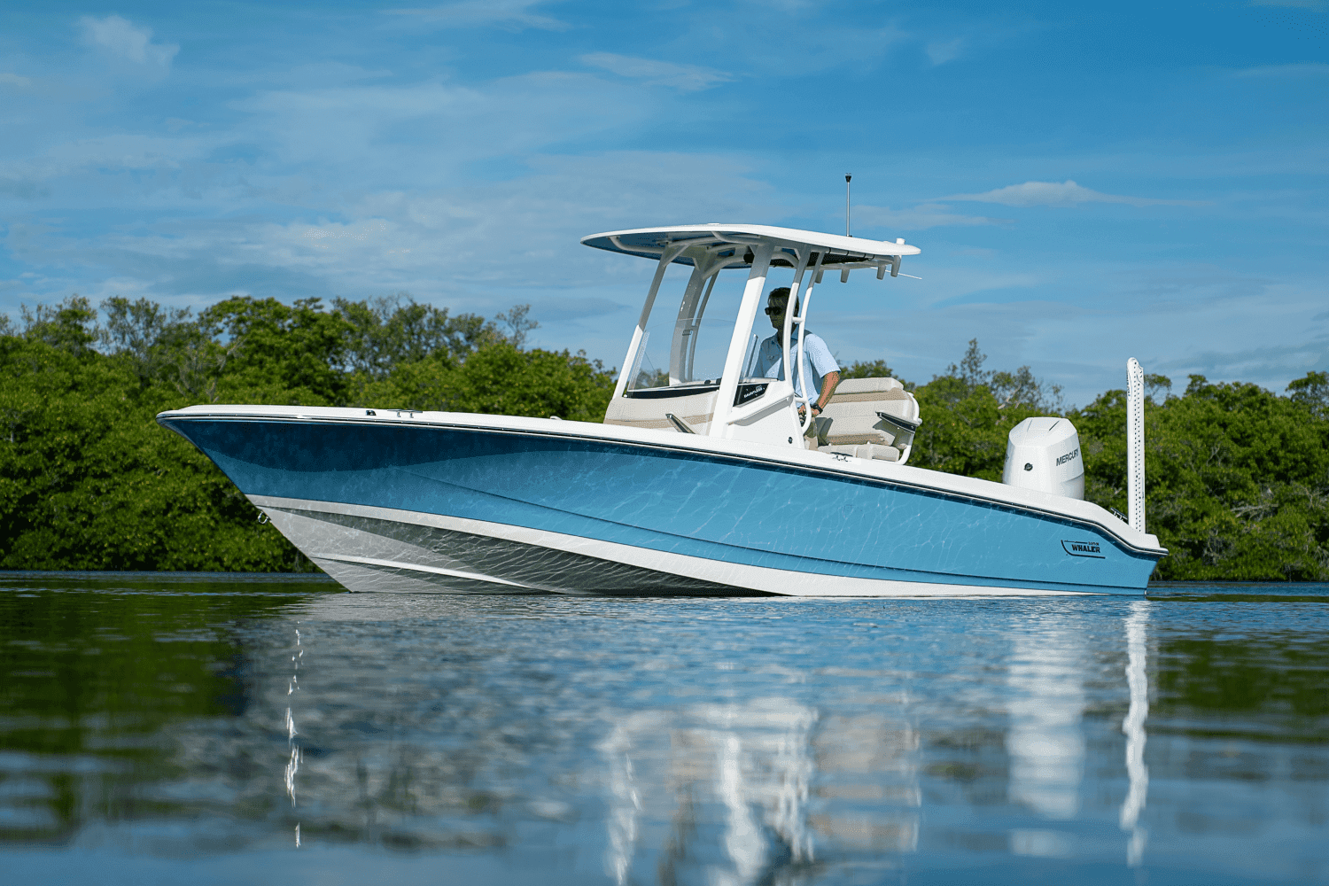 2026 Boston Whaler 250 Dauntless for Sale in Fort Myers, FL Center Console 4