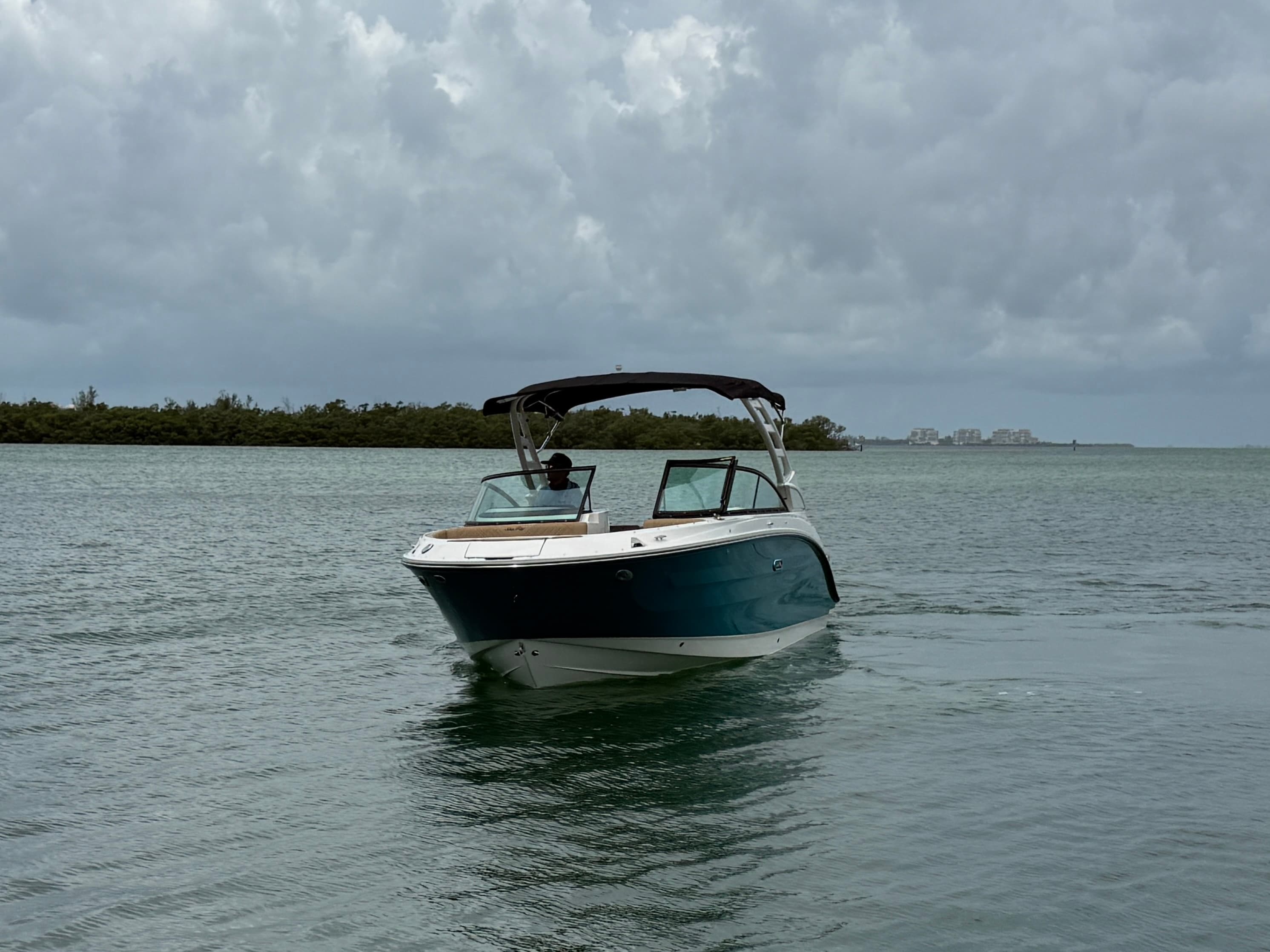 2026 Sea Ray SDX 250 Outboard for Sale in Sarasota, FL Bowrider 3