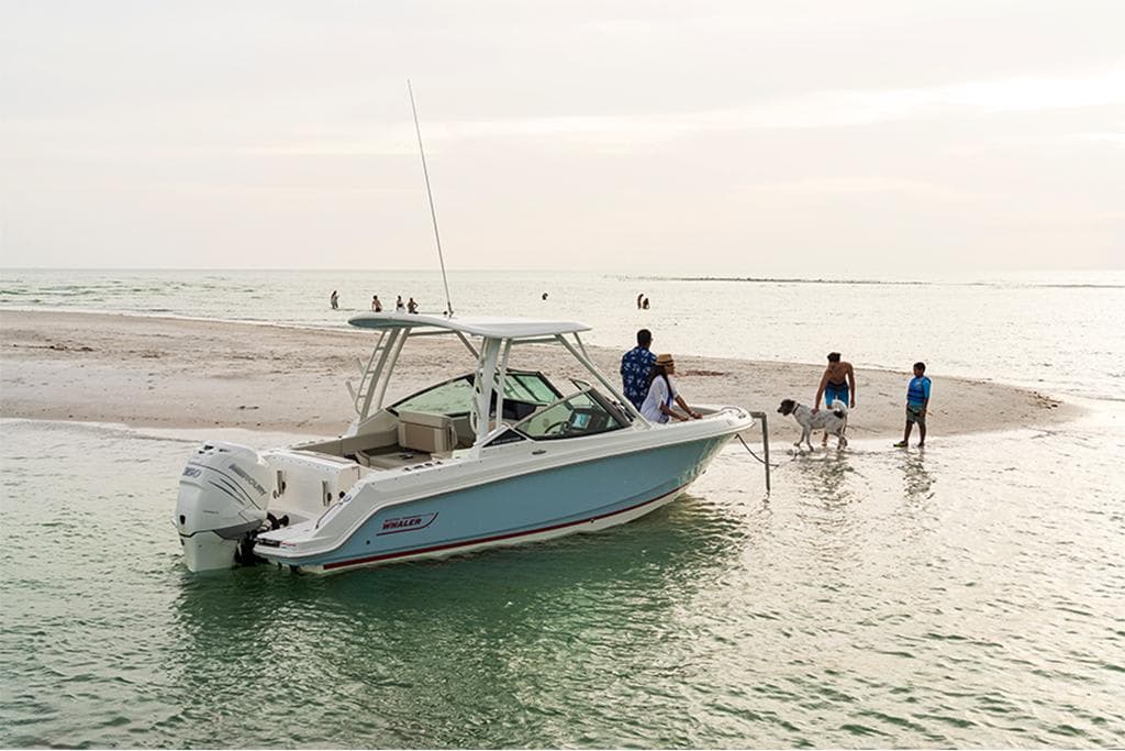 2027 Boston Whaler 240 Vantage for Sale in St Petersburg, FL Dual Console 3