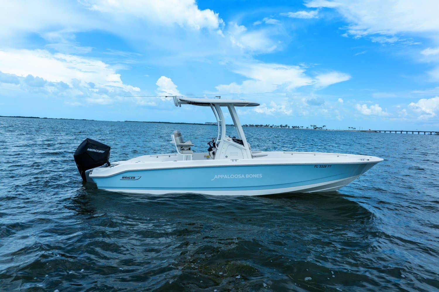 2024 Boston Whaler 250 Dauntless for Sale in St Petersburg, FL Center Console 4