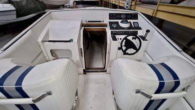 Cigarette Racing TOP GUN 38 For Sale