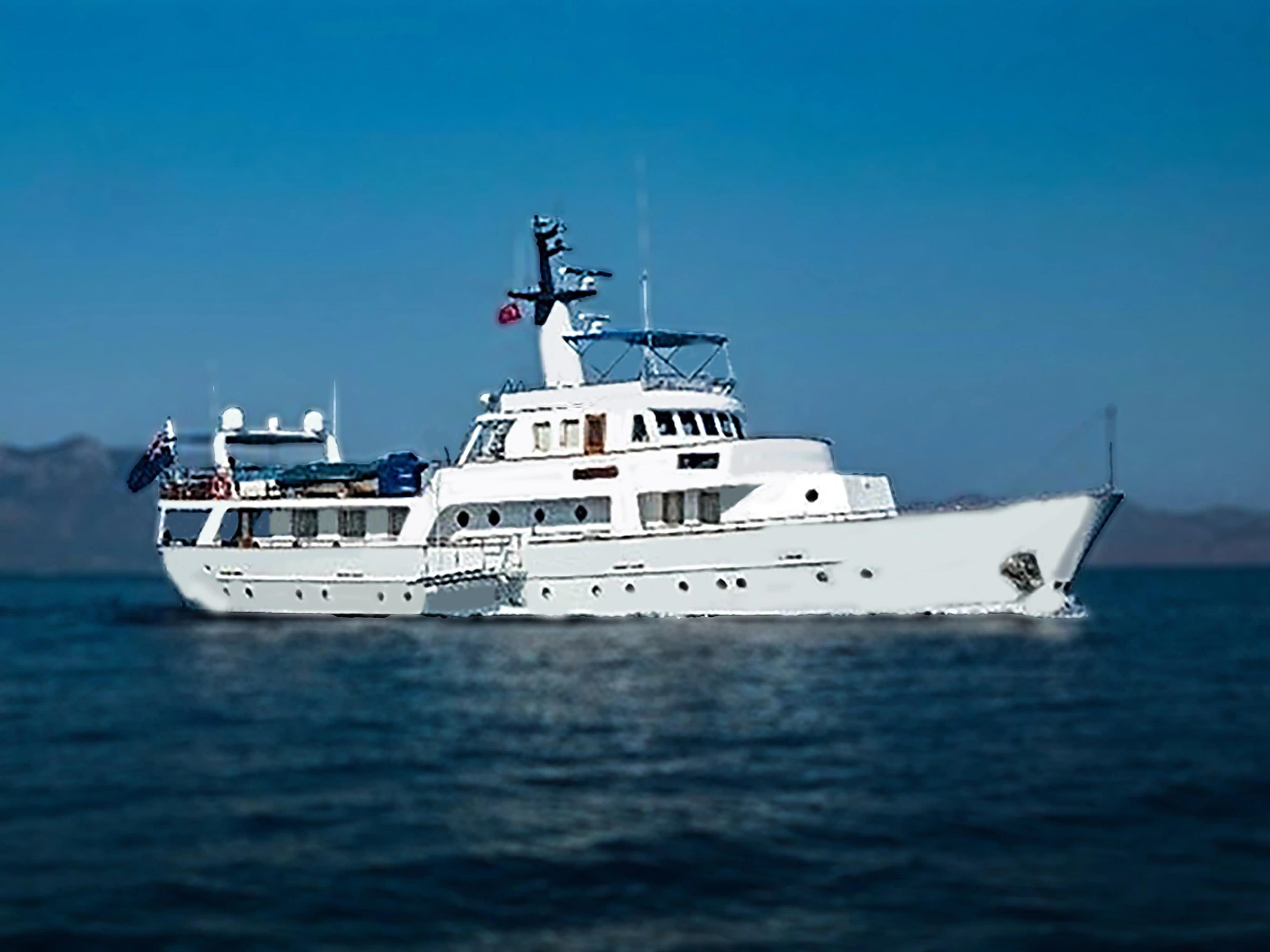 De Beer DB33 For Sale