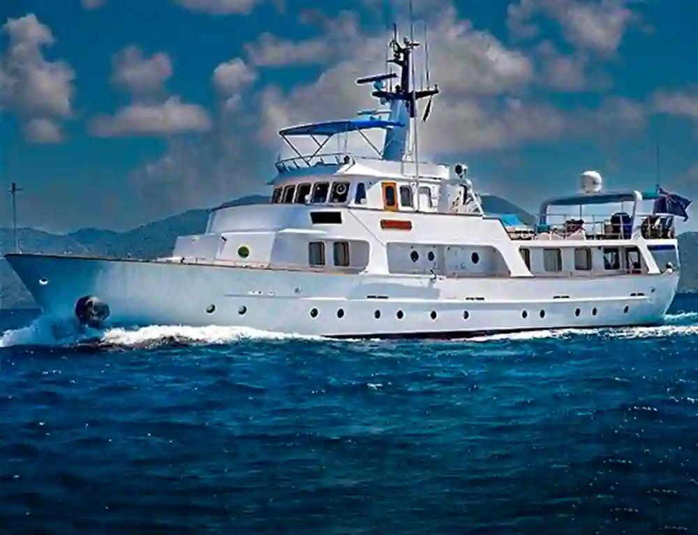 De Beer DB33 For Sale