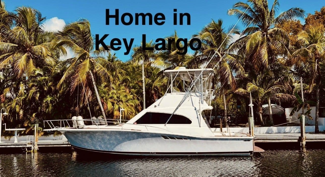 Luhrs 40 Convertible for Sale