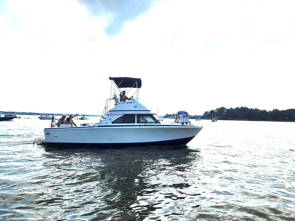 2 Boat.jpg