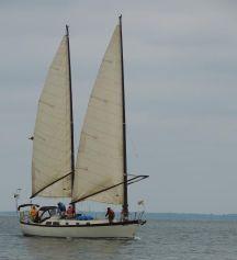 Tanton Sailboat For Sale