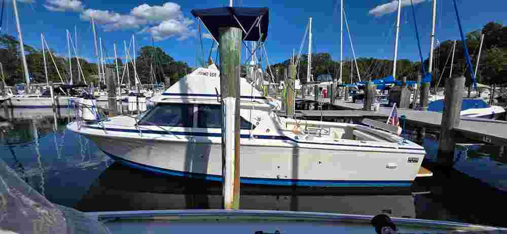 1983 Bertram 28 Flybridge