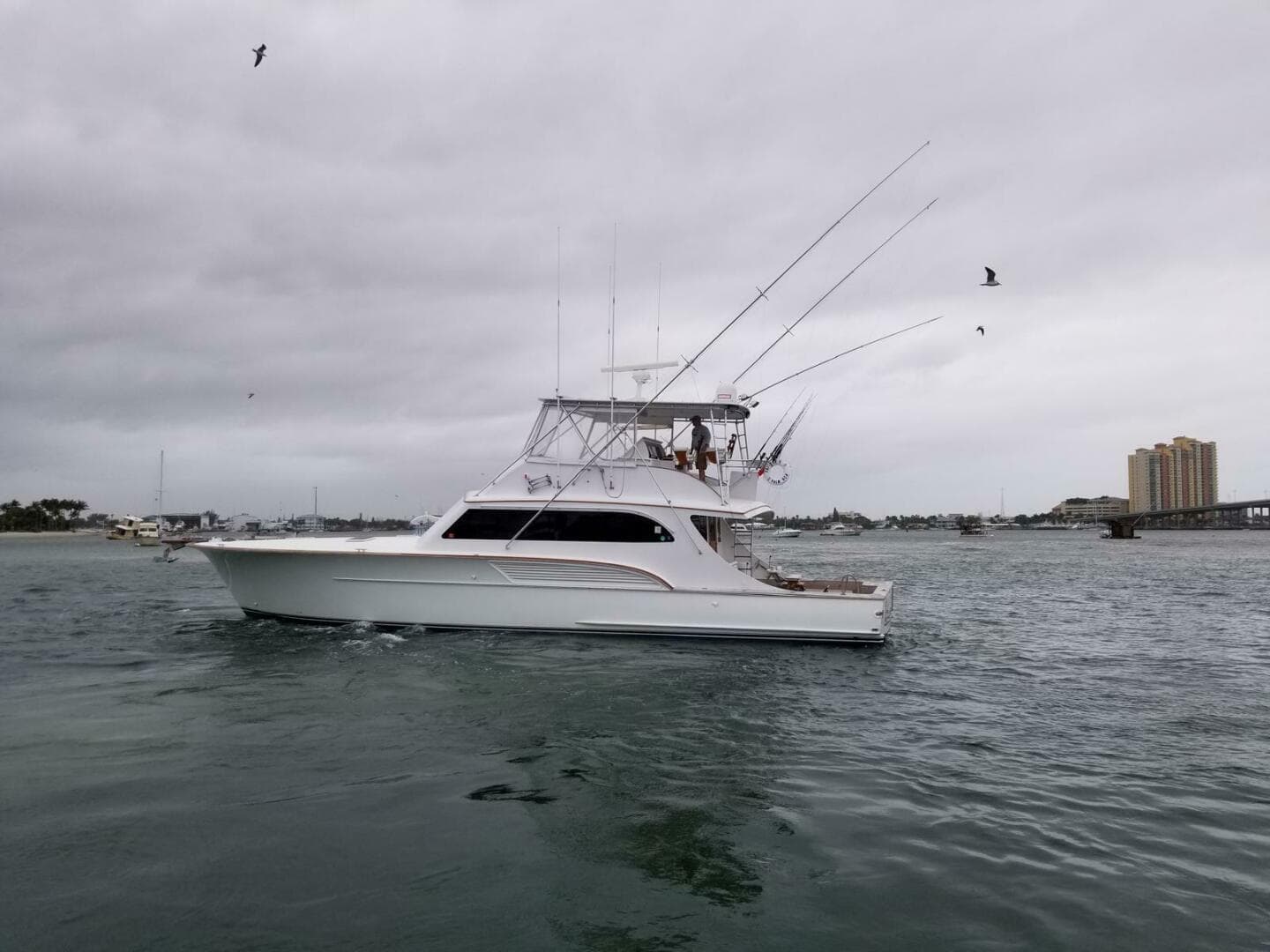 Buddy Davis 61 Sportfish for Sale