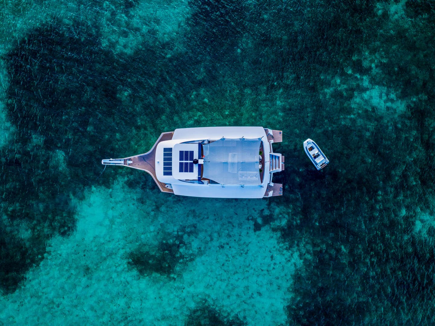 Leen Trimarans 72 for Sale
