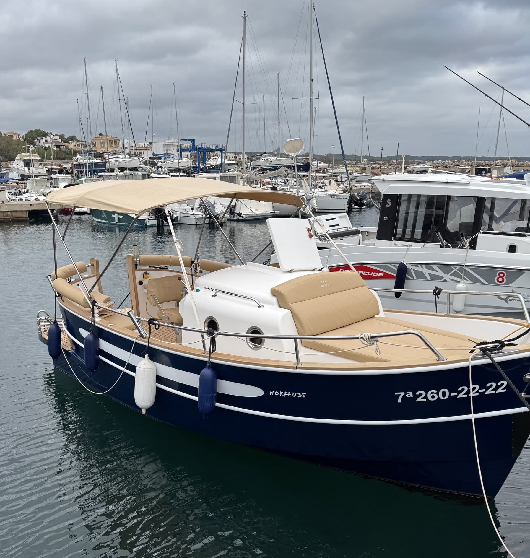 2022 Norfeu 35 te koop in Alcúdia, ES Saltwater Fishing 4