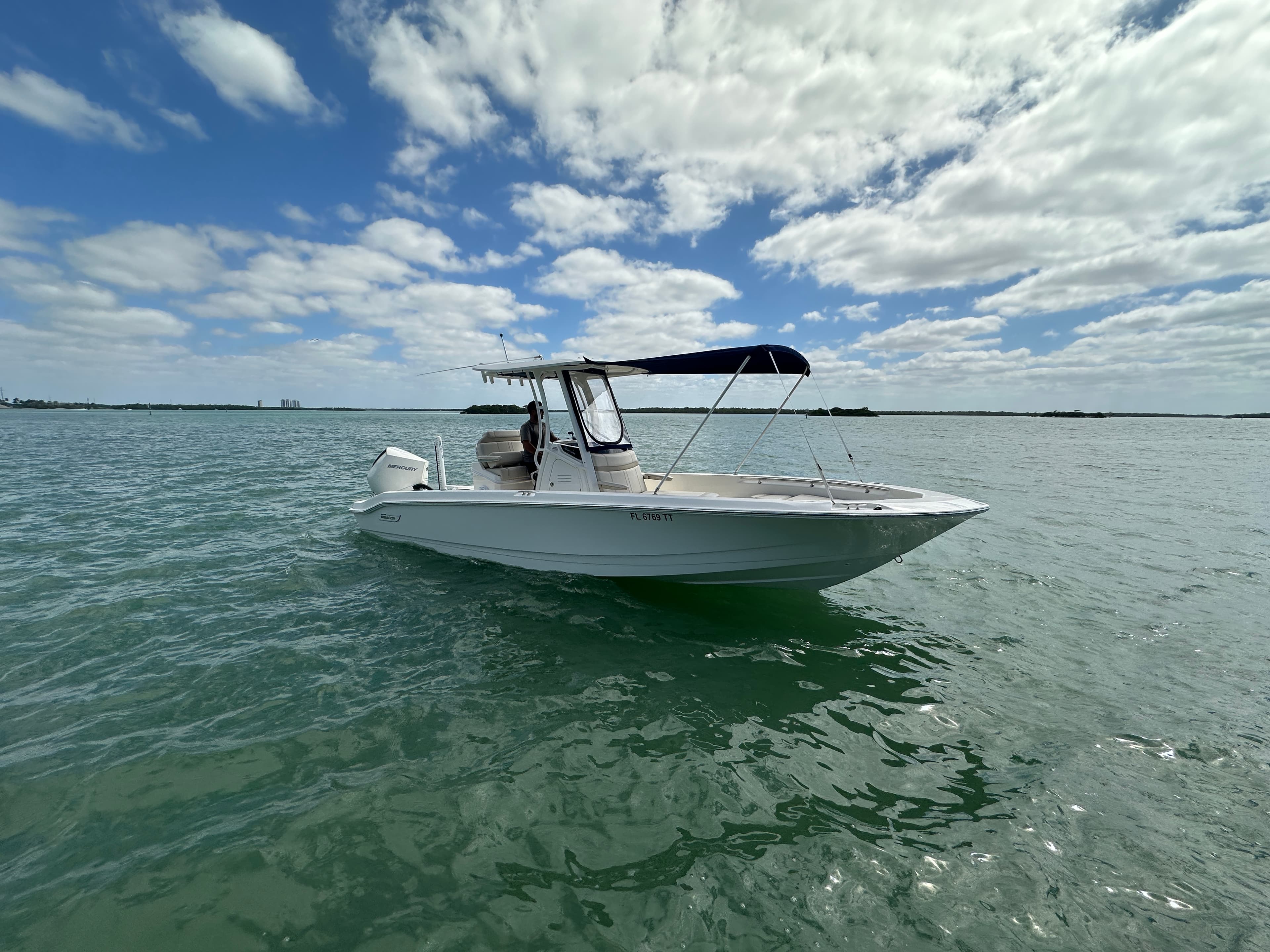 2024 Boston Whaler 250 Dauntless in vendita a Naples, Florida Center Console 3