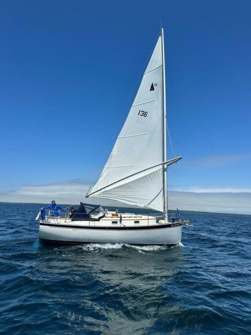 1984 Hinterhoeller Nonsuch 26 in vendita a Harbor Springs, Michigan Monohull 4