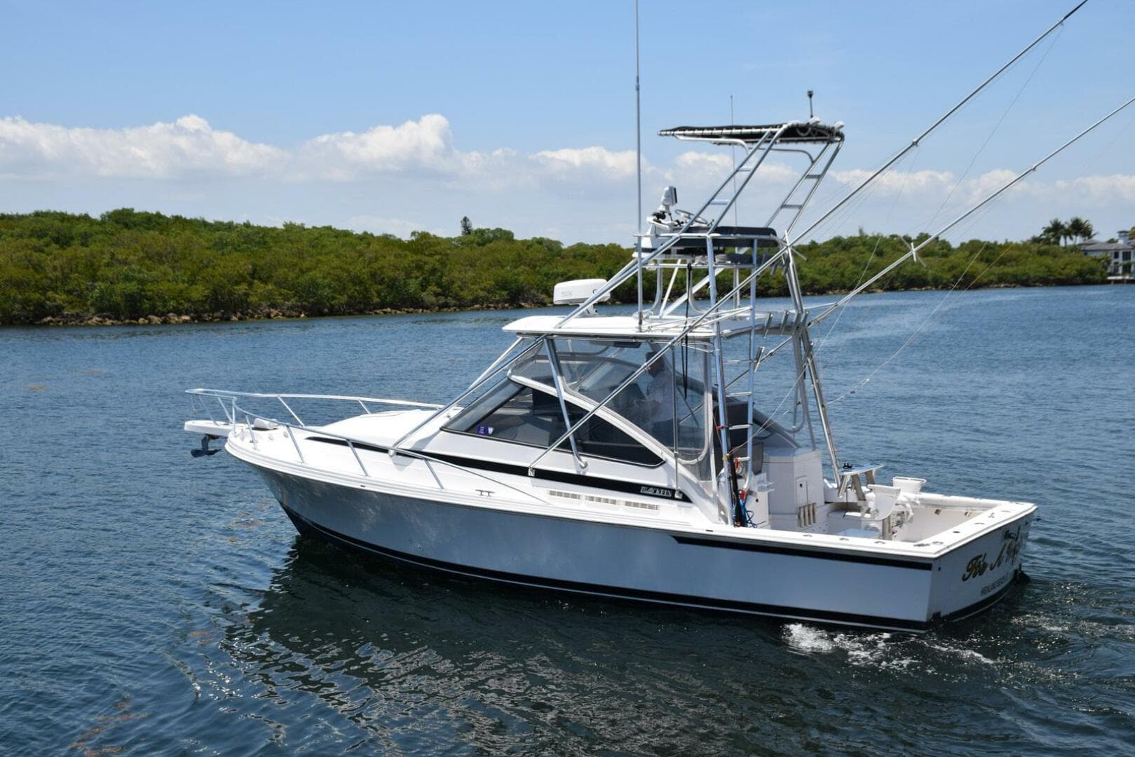 Blackfin Boats Combi 33 for Sale