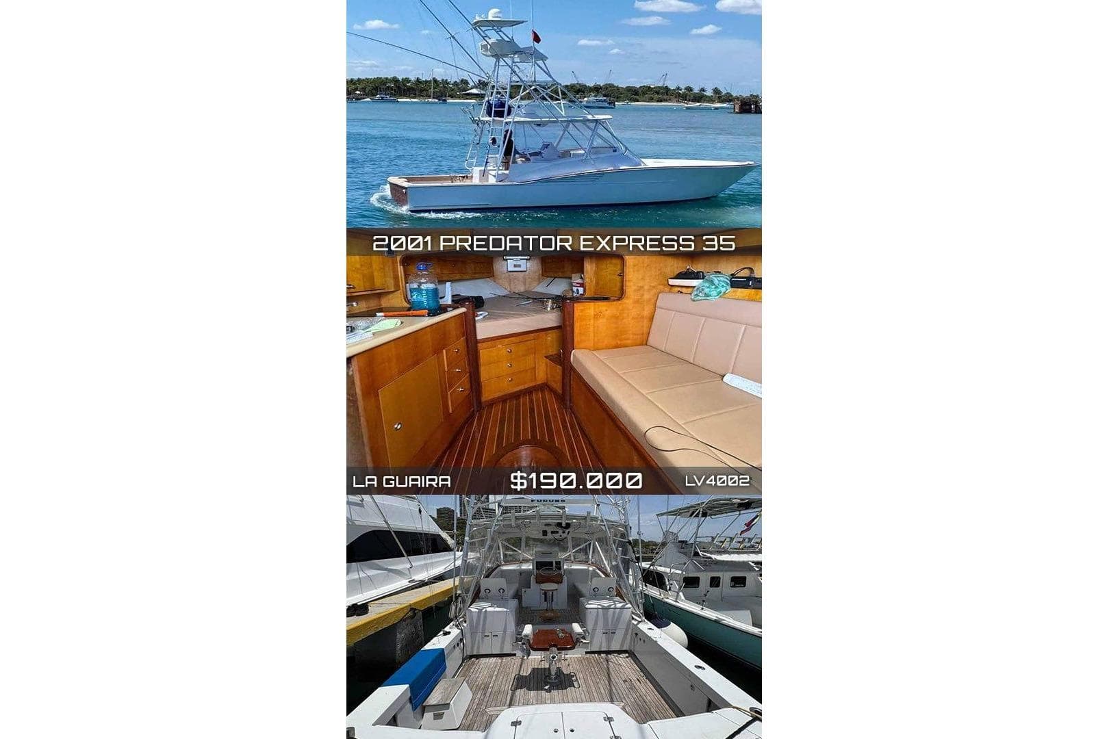 2001 Predator 35 Express te koop in Vargas, VE Sport Fishing 4