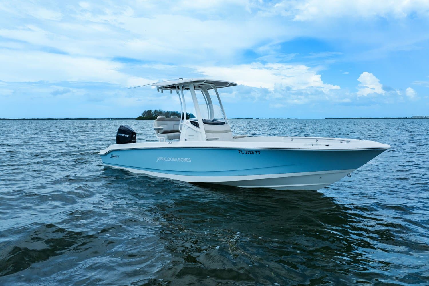 2024 Boston Whaler 250 Dauntless a la venta en St Petersburg, FL Center Console 3