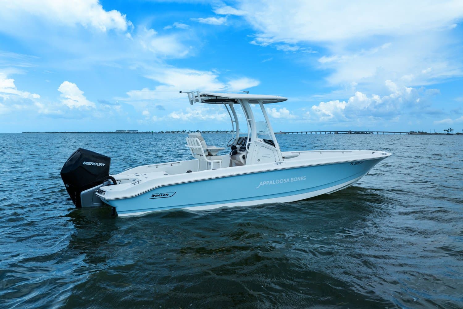 2024 Boston Whaler 250 Dauntless a la venta en St Petersburg, FL Center Console 5