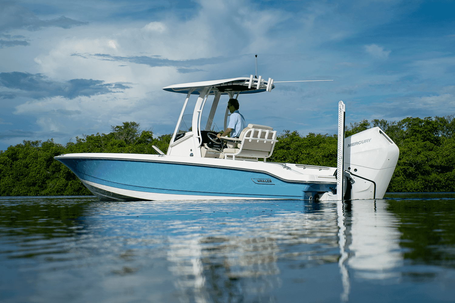 2026 Boston Whaler 250 Dauntless zum Verkauf in Fort Myers, FL Center Console 2
