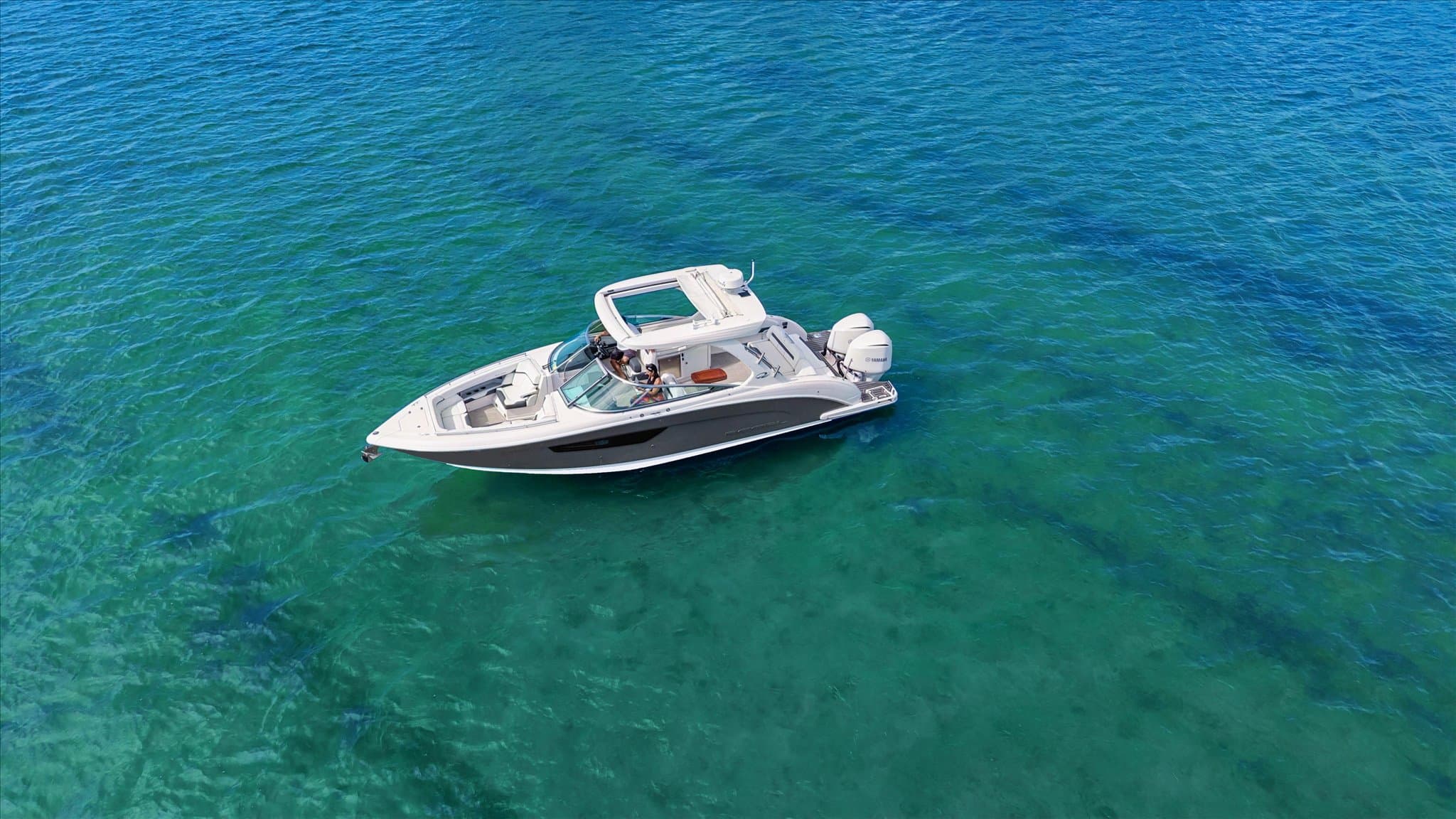 Regal 33 OBX for Sale