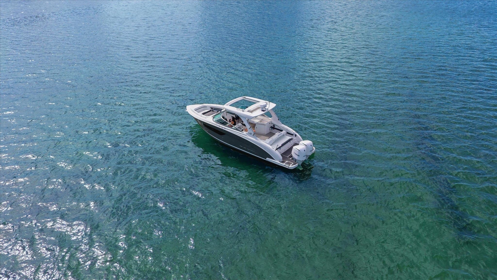 Regal 33 OBX for Sale