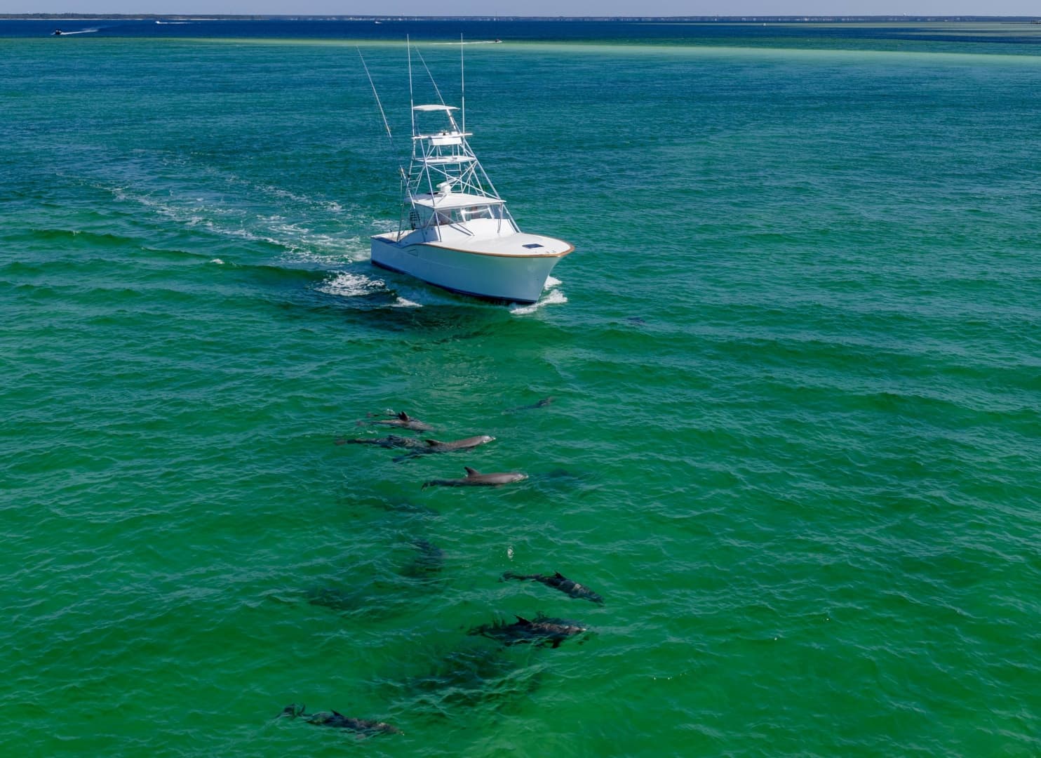 1994 Daytona 39 Express zum Verkauf in Destin, Florida Sport Fishing 4