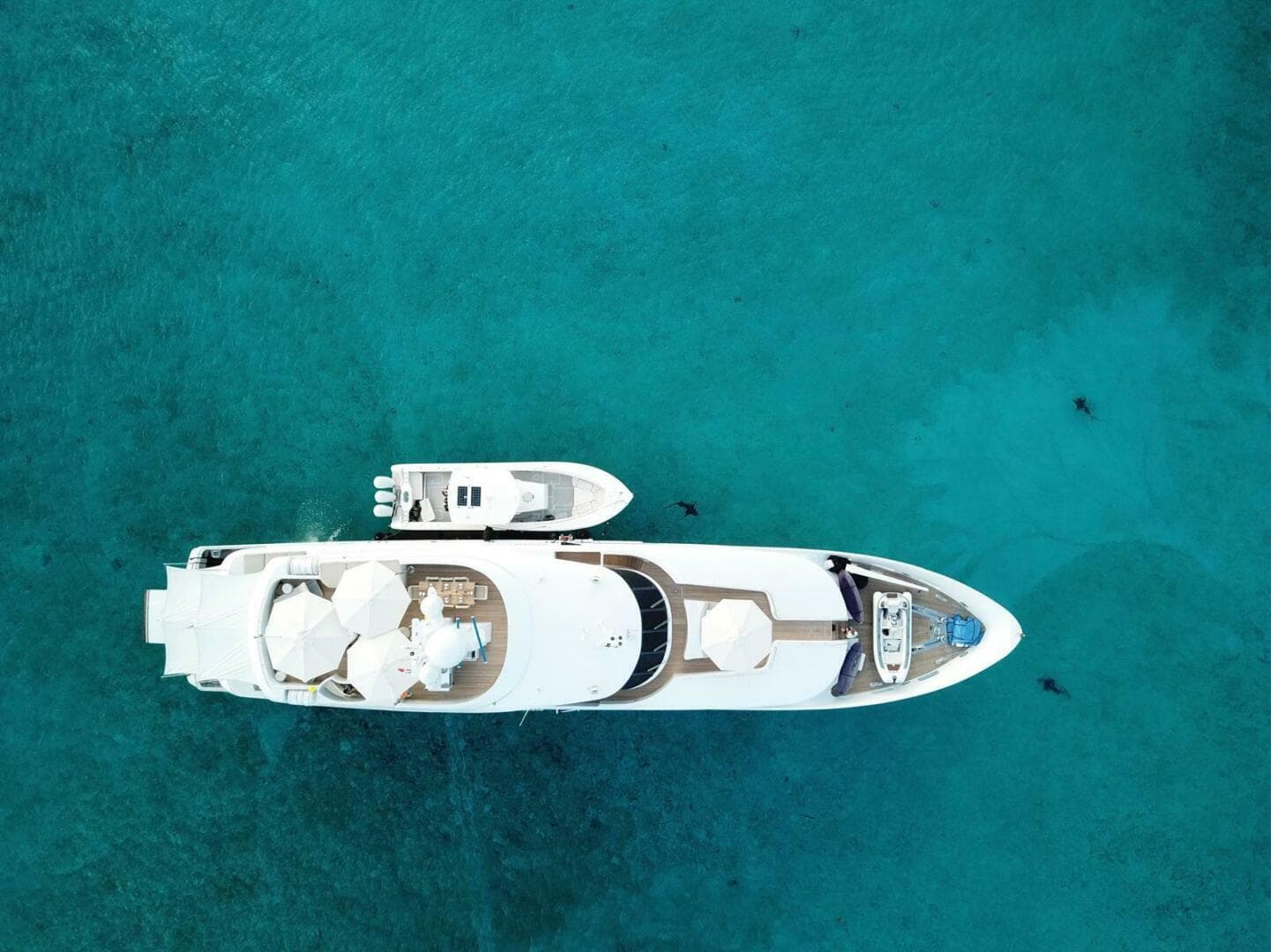2003 Royal Denship 137 in vendita a Fort Lauderdale, Florida Megayacht 5