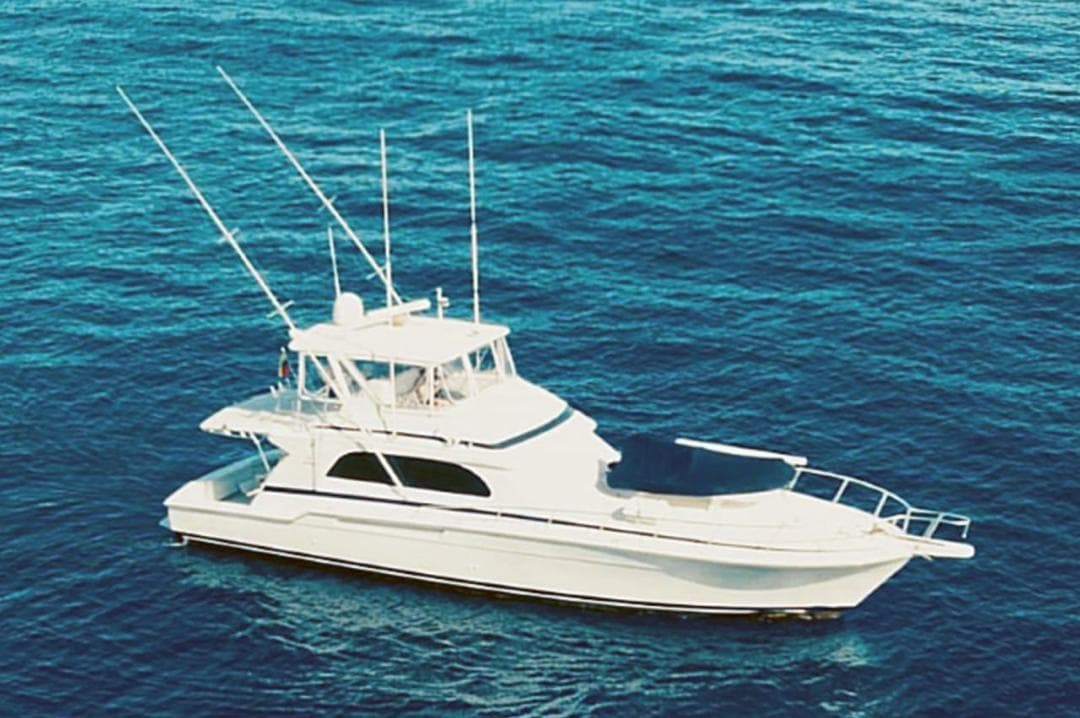 1999 Bertram 60 Convertible in vendita a La Guaira, VE Sport Fishing
