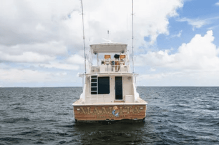 2003 Bertram Convertible 45' zum Verkauf in Coral Gables, Florida Sport Fishing 4