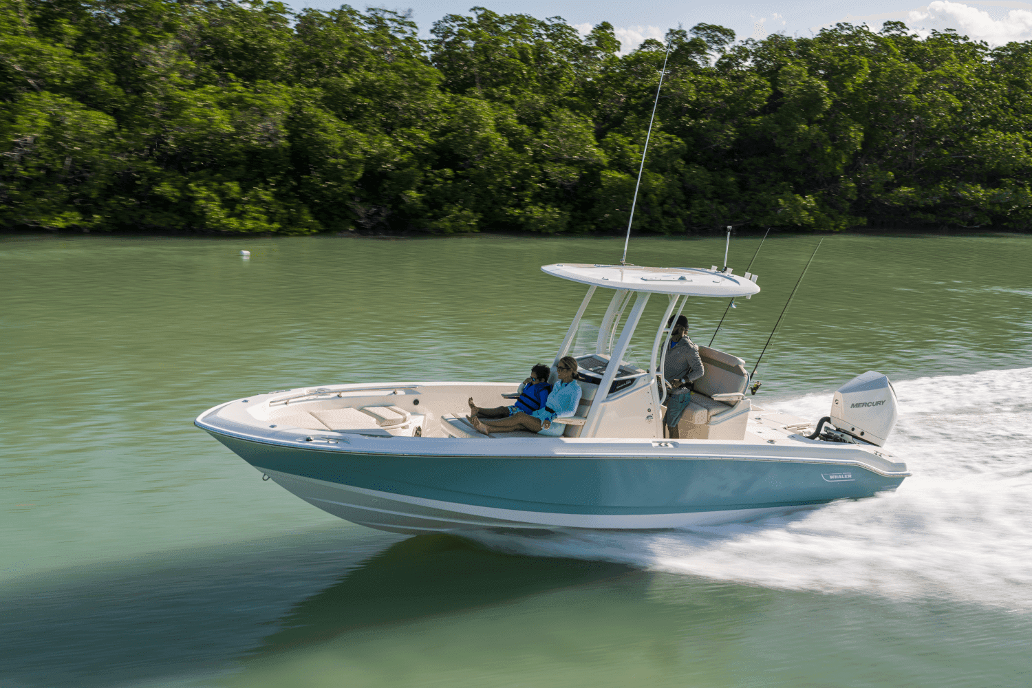 2027 Boston Whaler 250 Dauntless in vendita a Seabrook, TX Center Console 2