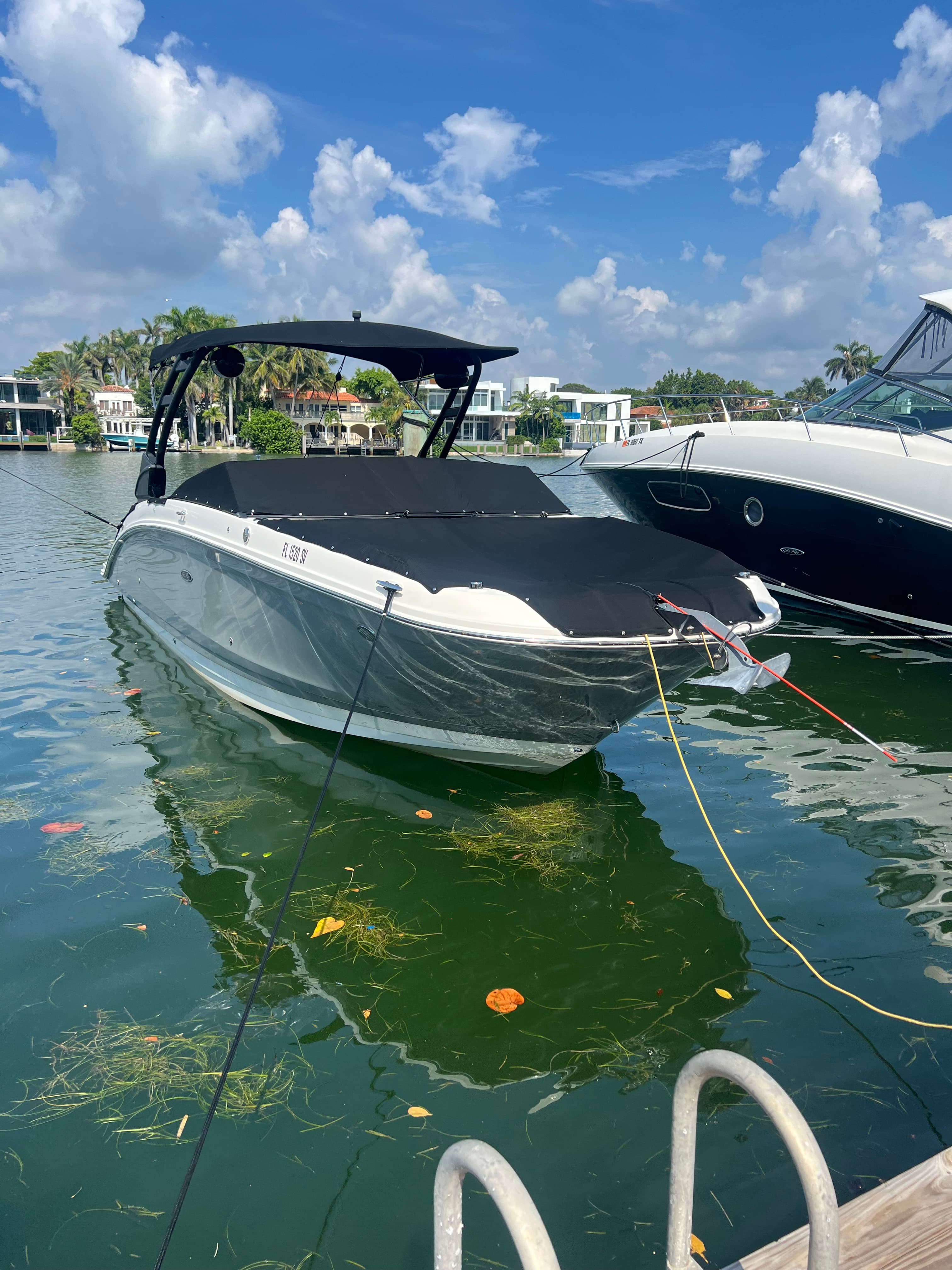 2021 Sea Ray SDX 270 Outboard for Sale in Miami Beach, FL Bowrider 4