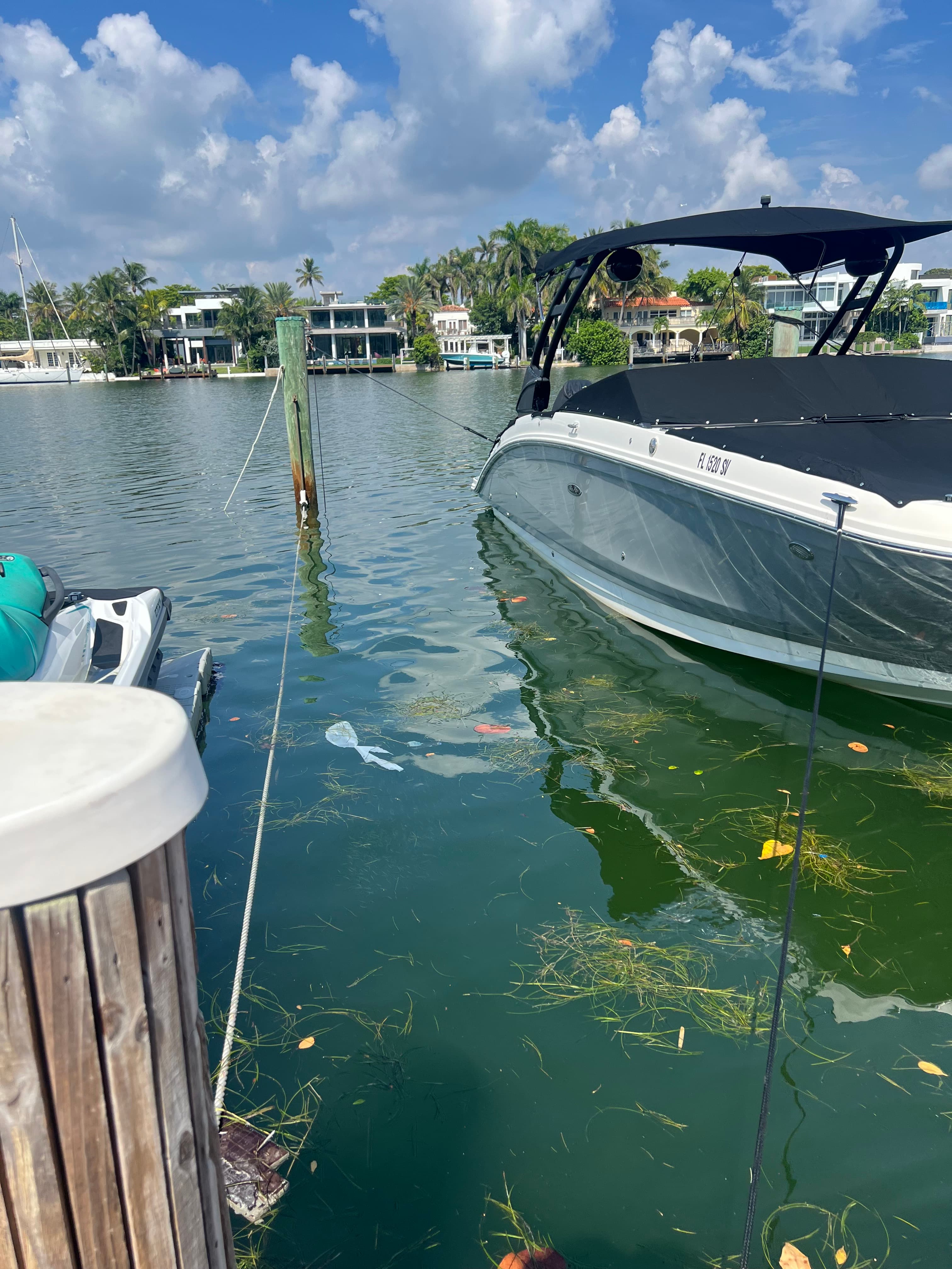 2021 Sea Ray SDX 270 Outboard for Sale in Miami Beach, FL Bowrider 5