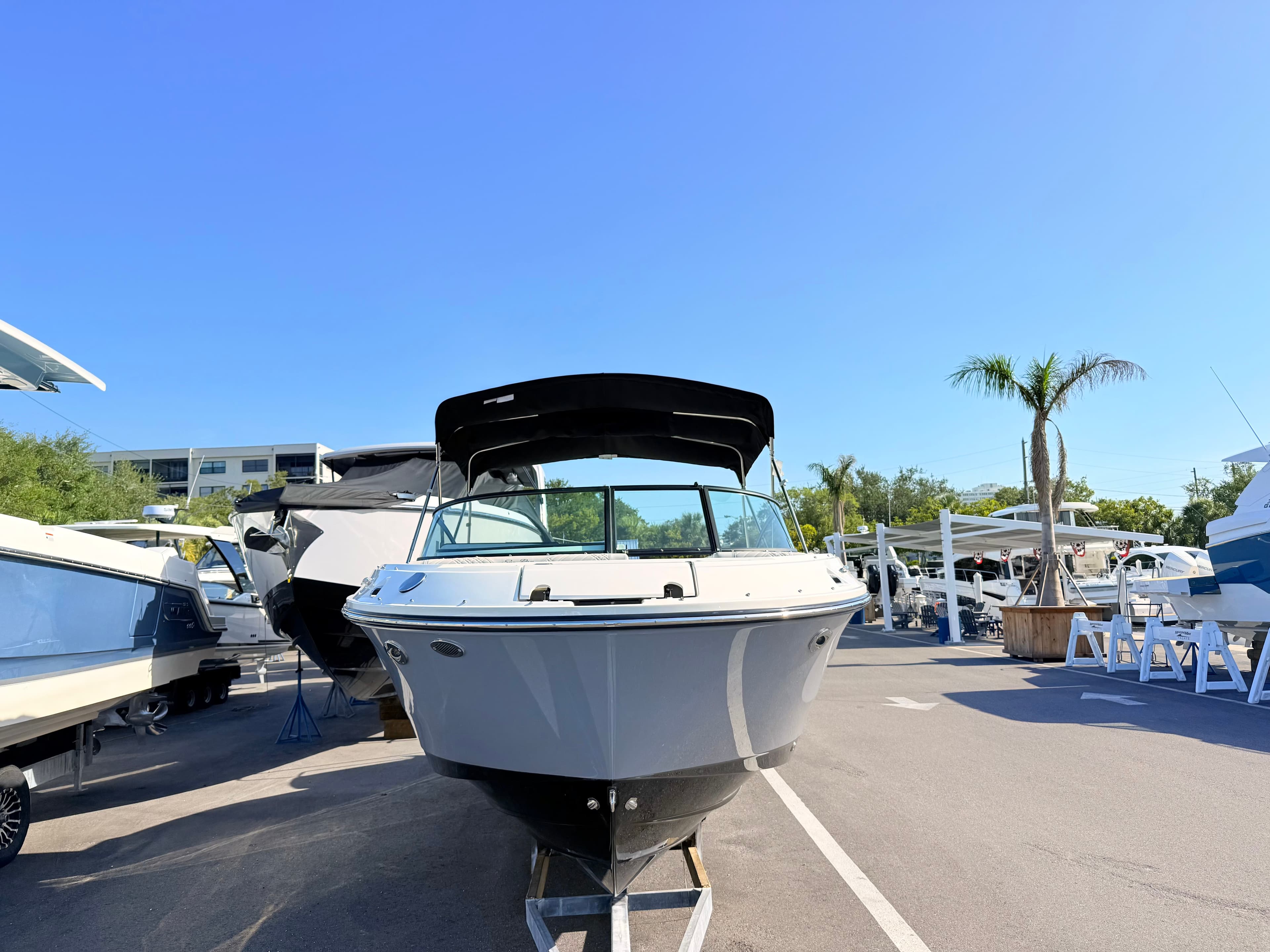 2026 Sea Ray SDX 250 Outboard in vendita a St Petersburg, FL Bowrider 4