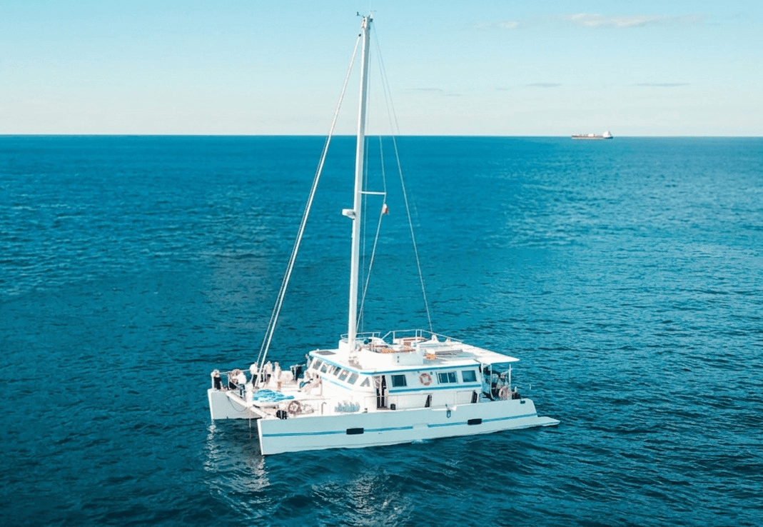 2017 Custom Maxi Day Charter CATAMARAN 65 for Sale in Toulon, FR Daysailer