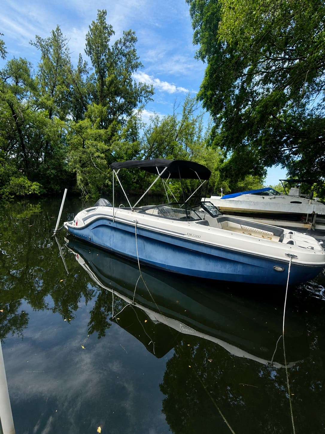 2020 Bayliner DX 2200 for Sale in North Miami Beach, Florida High Performance