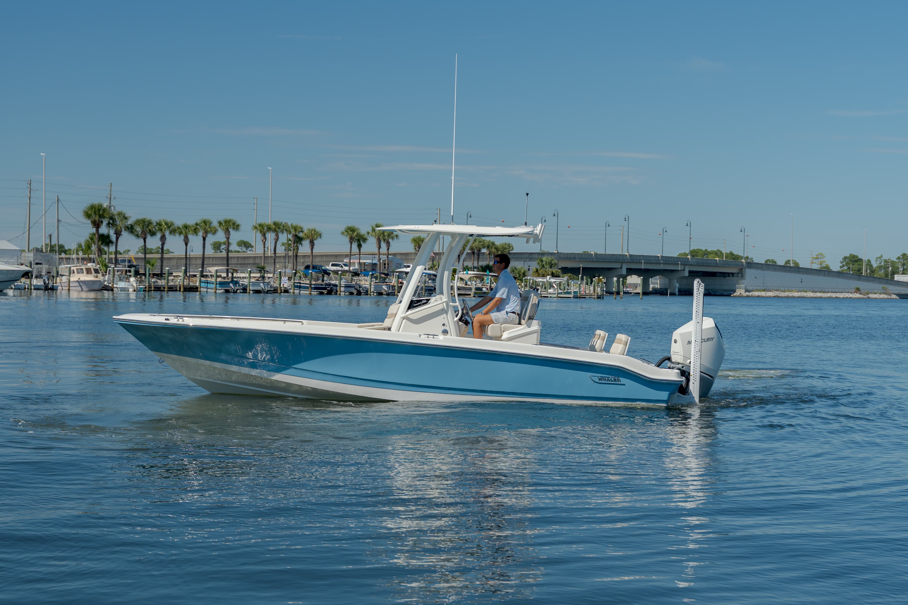 2027 Boston Whaler 250 Dauntless for Sale in Panama City, FL Center Console