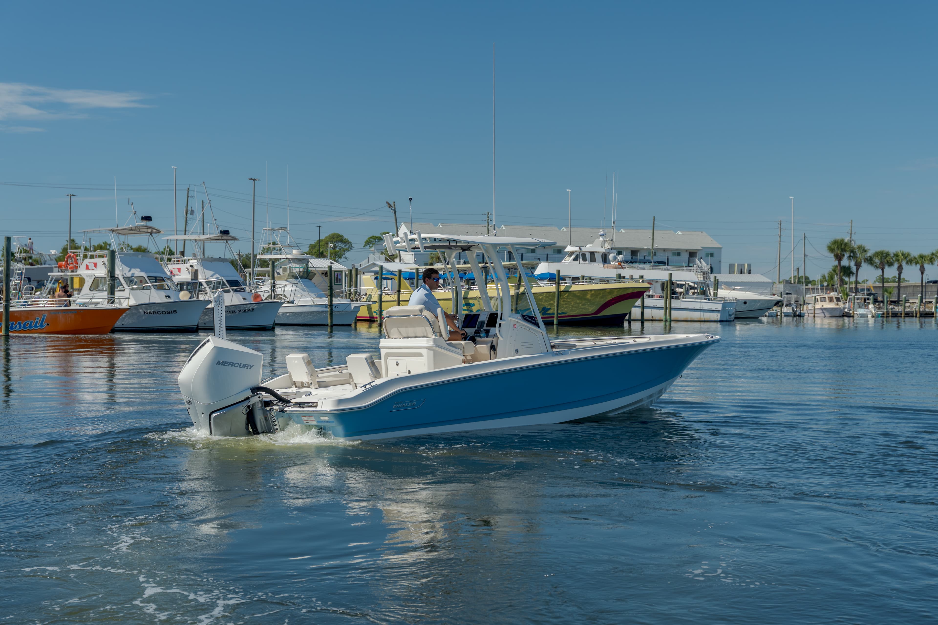 2027 Boston Whaler 250 Dauntless for Sale in Panama City, FL Center Console 4
