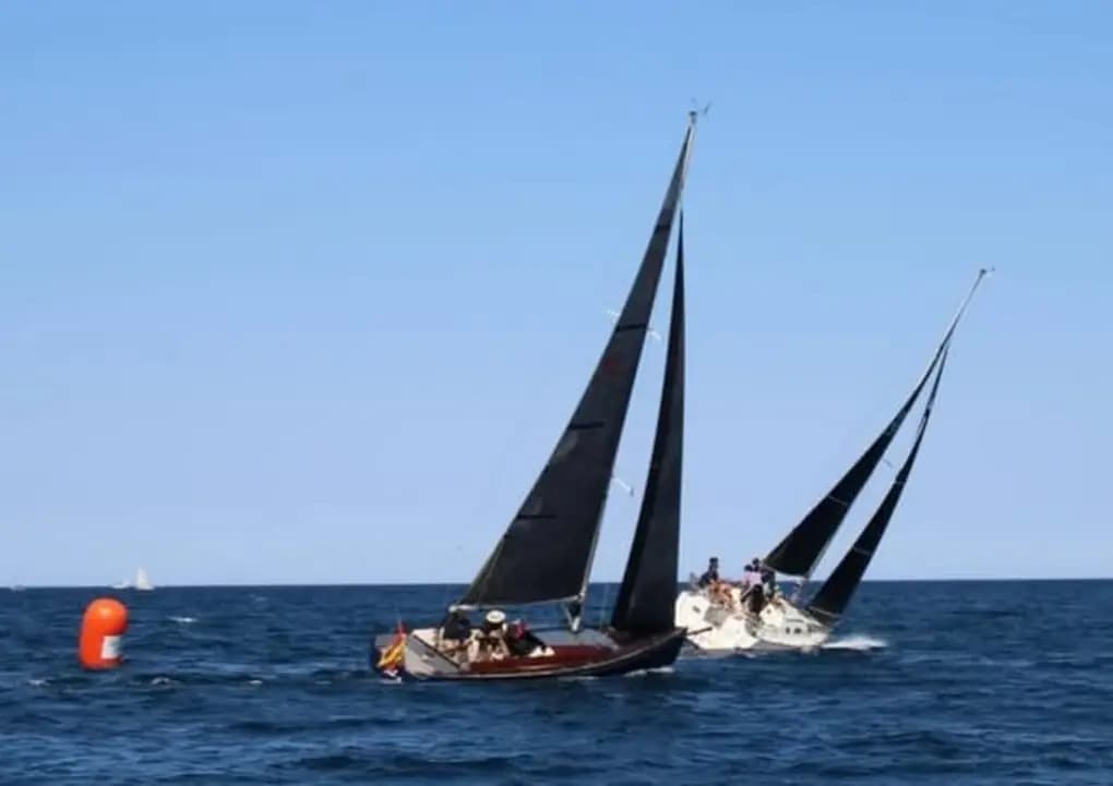 2015 Latitude 46 Tofinou 8 à vendre à Altea, ES Daysailer
