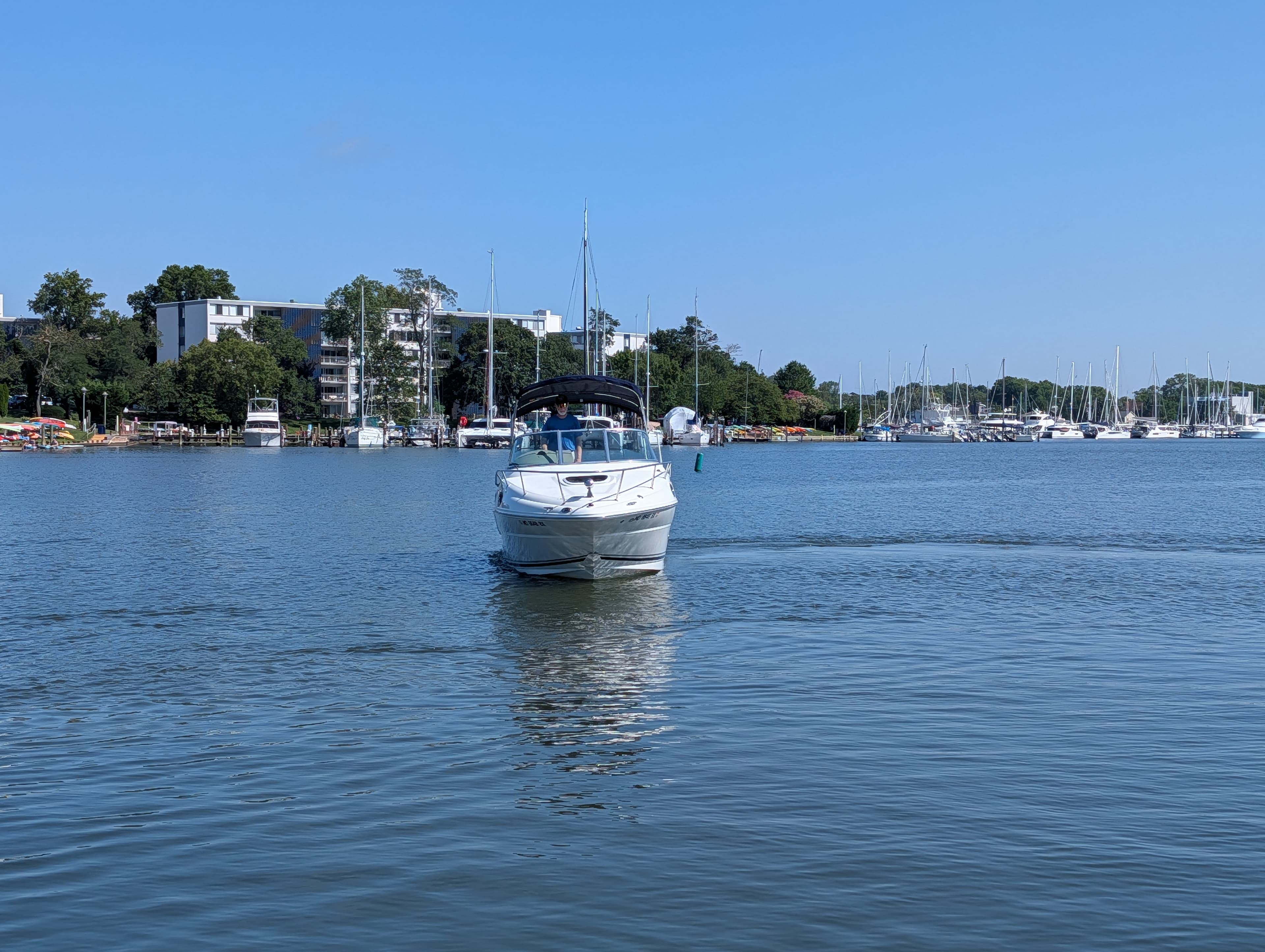 2007 Sea Ray 240 Sundancer zum Verkauf in Annapolis, MD Express Cruiser 3