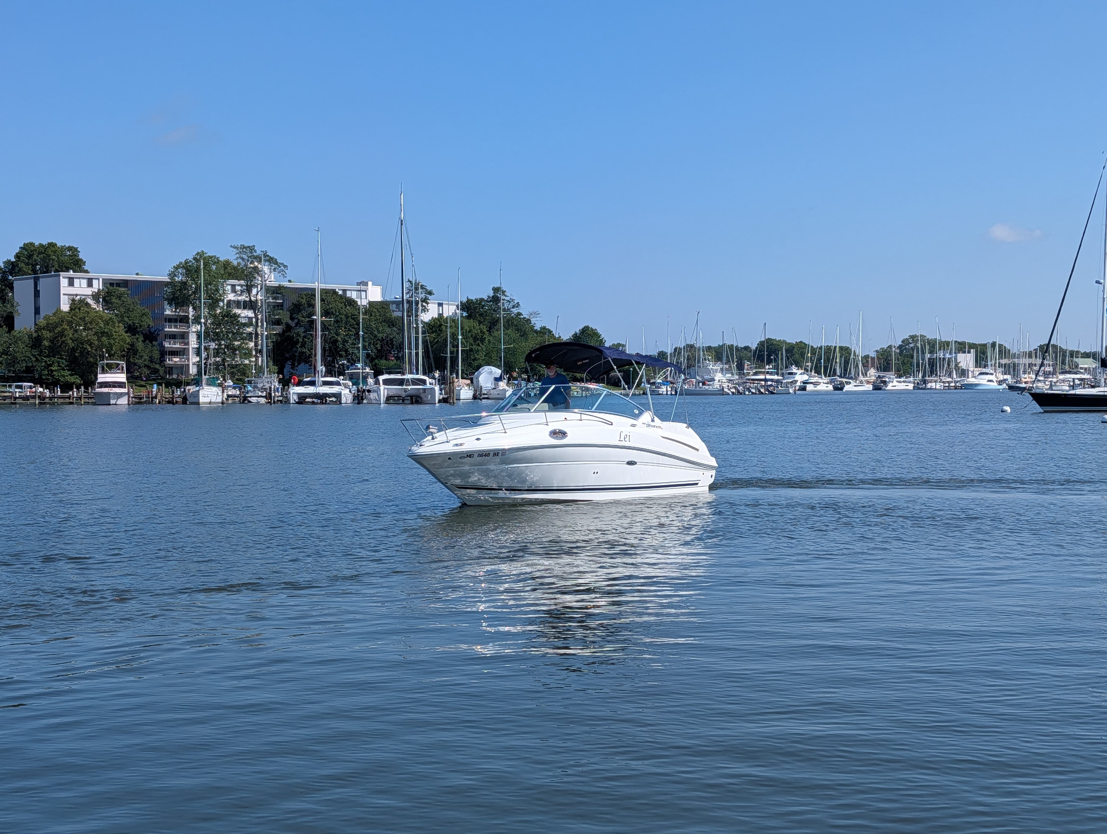 2007 Sea Ray 240 Sundancer zum Verkauf in Annapolis, MD Express Cruiser 4