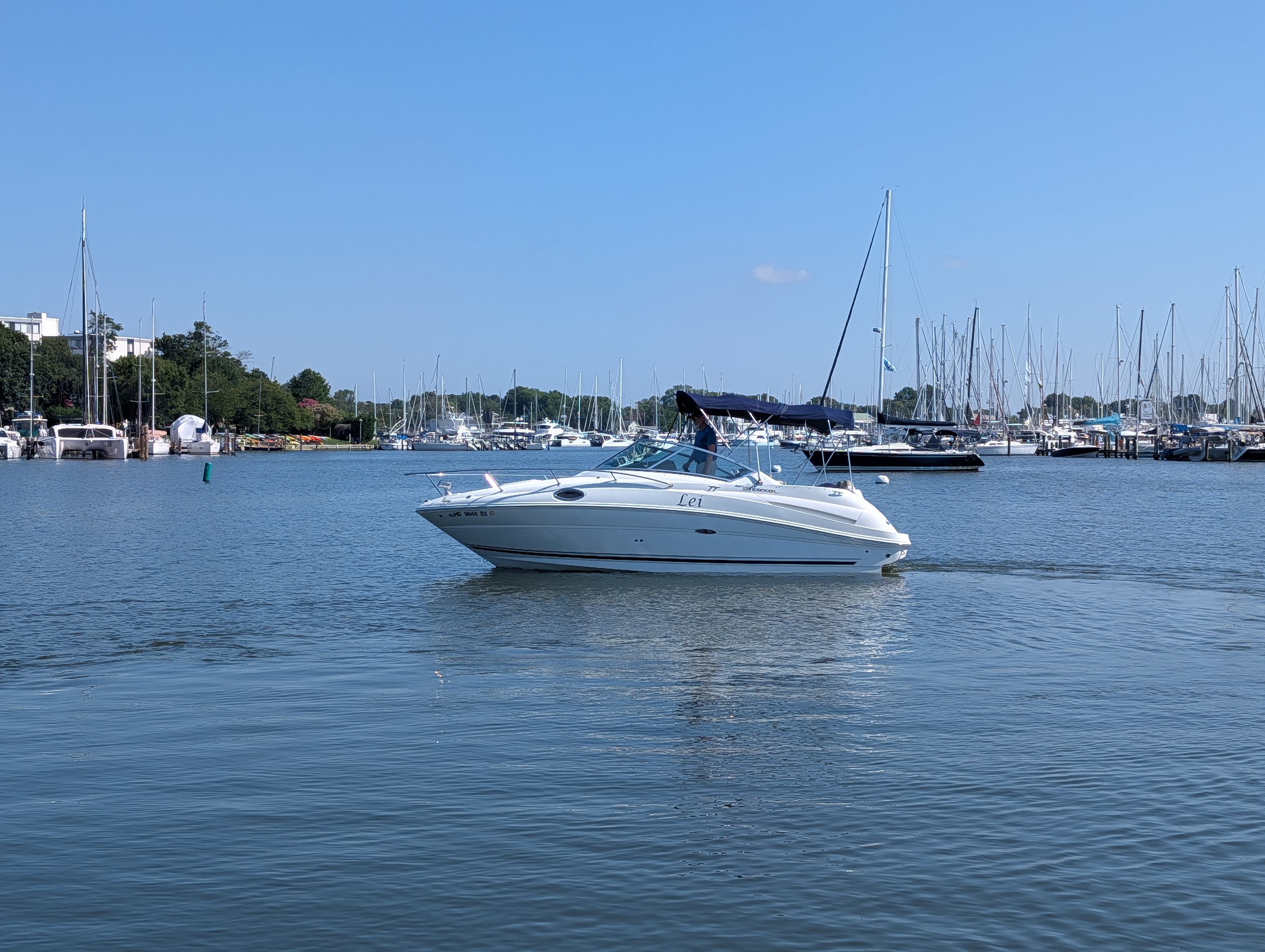 2007 Sea Ray 240 Sundancer zum Verkauf in Annapolis, MD Express Cruiser 5