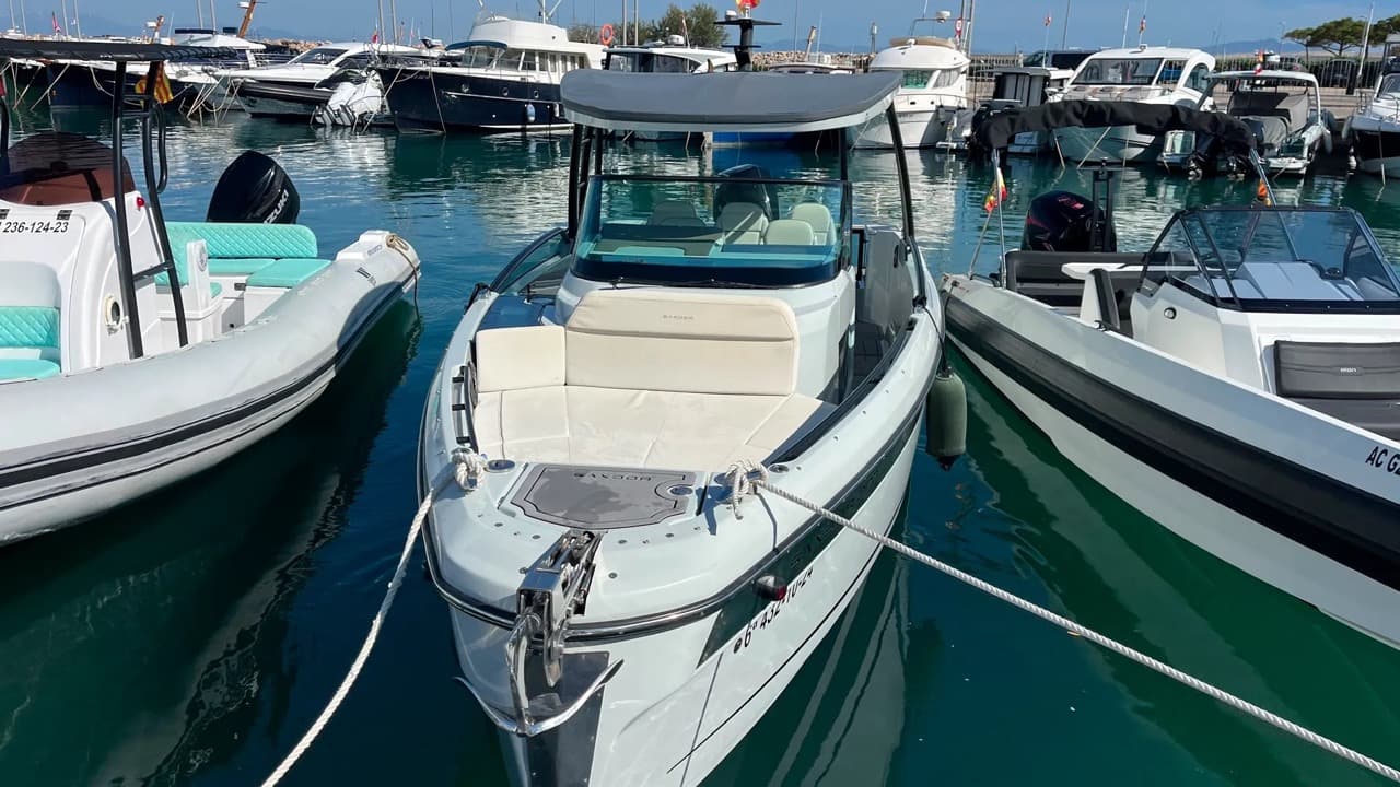 2023 Saxdor 270 GTO for Sale in Viladamat, ES Walk-around Boats 3