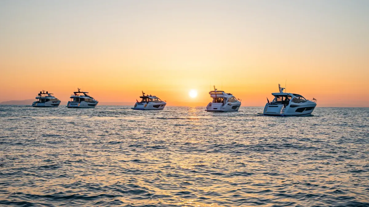 Sunseeker appoints interim CEO