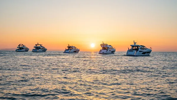 Sunseeker appoints interim CEO
